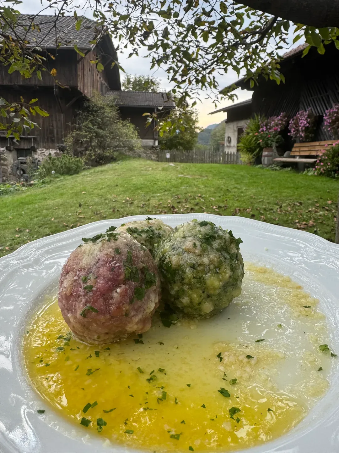 Food & Gastronomy